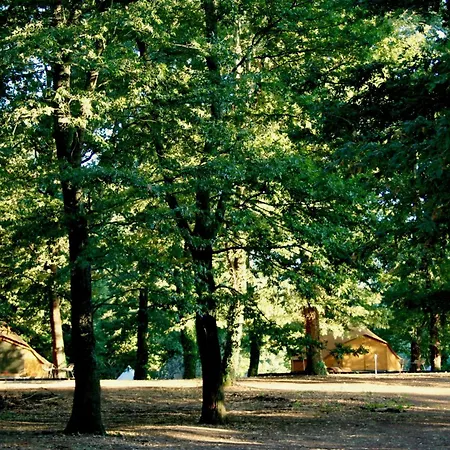 Oak Glamping Relax Luxury tent