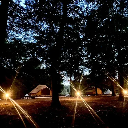 Oak Glamping Relax 만지아나