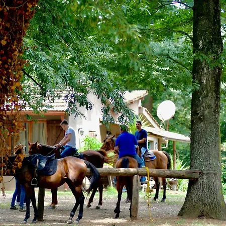럭셔리텐트 Oak Glamping Relax
