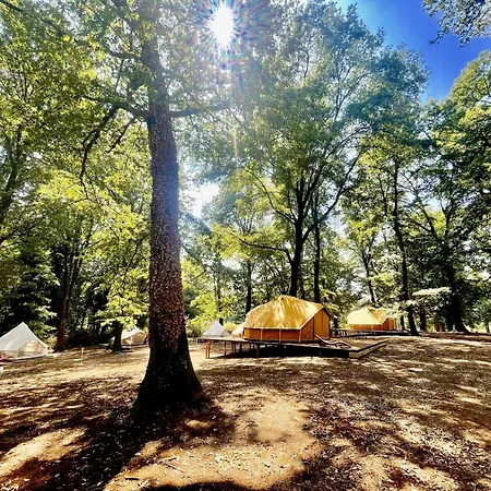 Oak Glamping Relax 럭셔리텐트